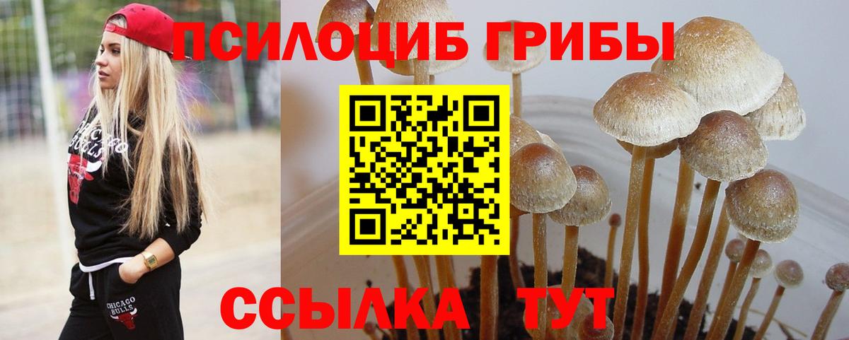 Псилоцибиновые грибы Magic Shrooms  Кириши 